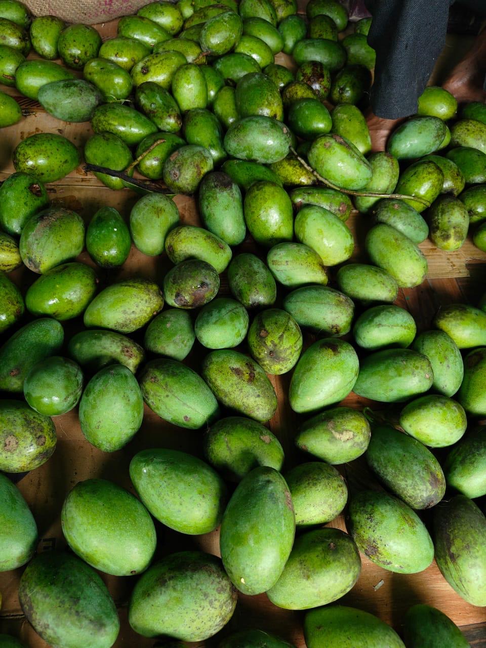 Himalayan Raw Mango