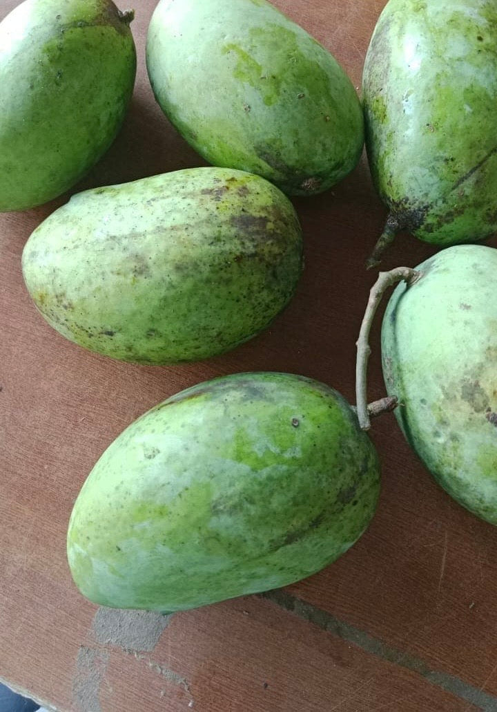 Himalayan Mango