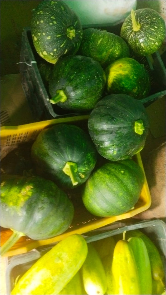 Himalayan Pumpkin